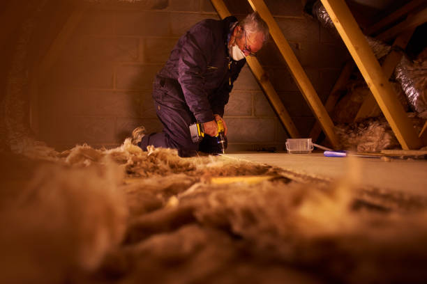 Best Insulation for Specific Applications in Abaster, AL